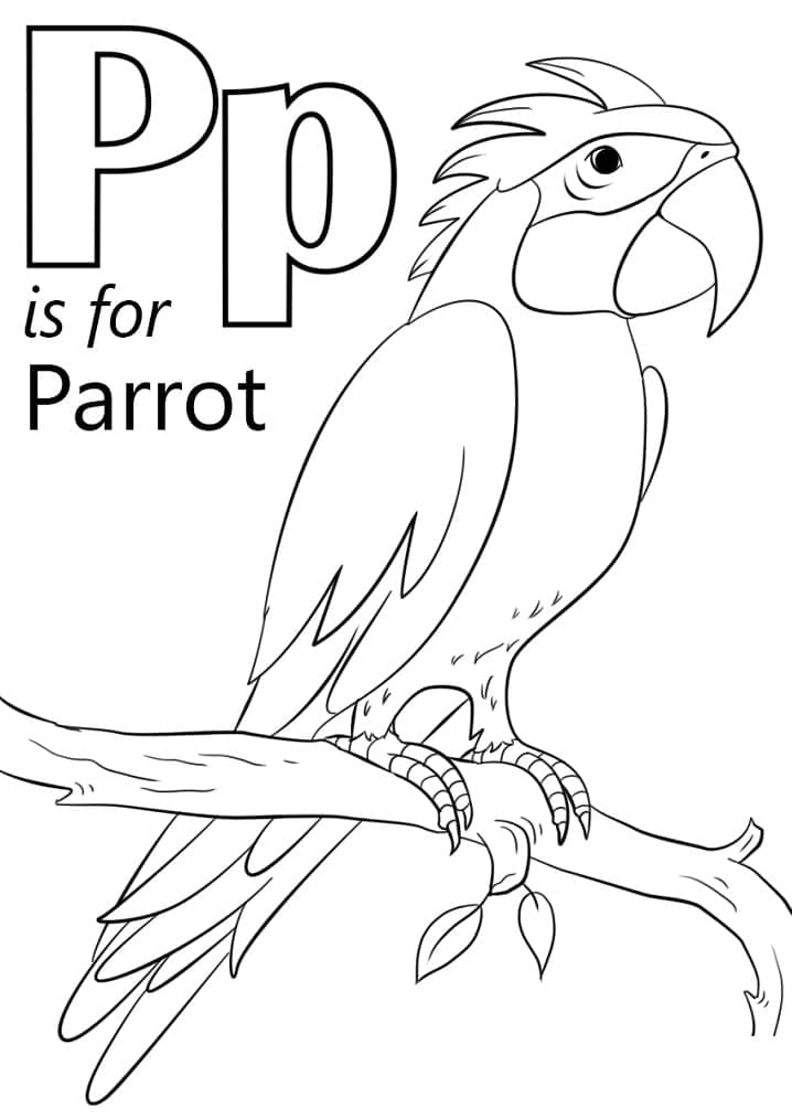 Kolorowanki Litera P jak Papuga
