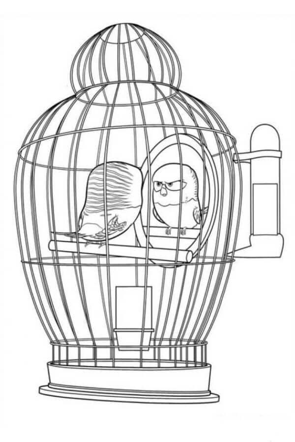 Kolorowanka Papuga w klatce