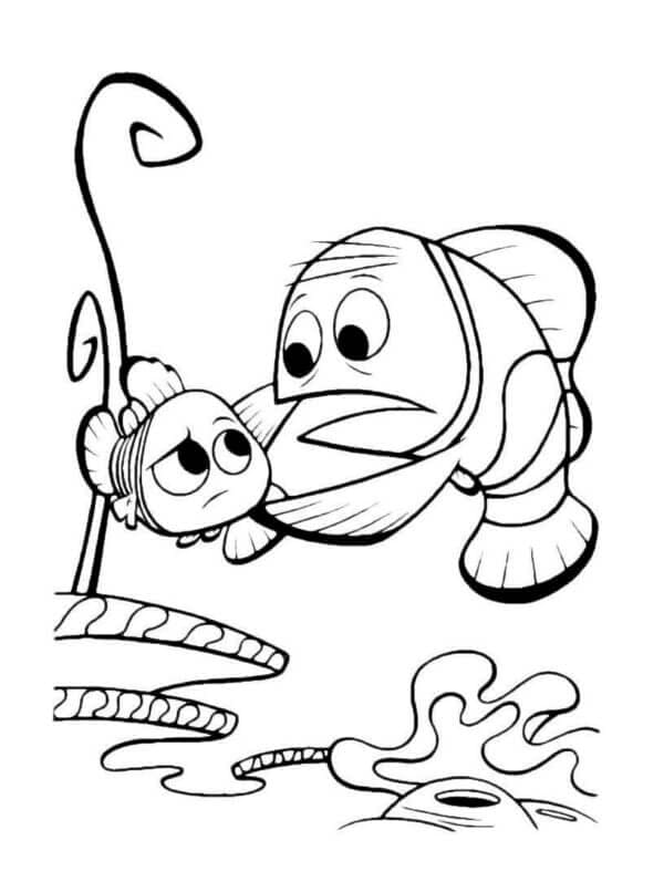 Kolorowanki Marlin nieustannie martwi się o swojego syna Nemo