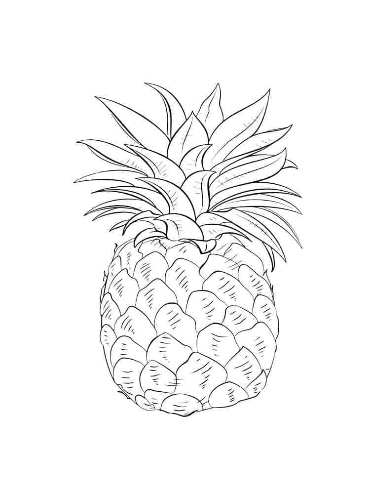Kolorowanka Owoce ananasa do bezpłatnego wydruku
