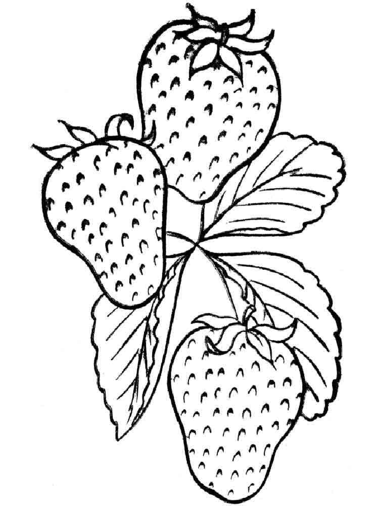 Kolorowanka Rysunek truskawek