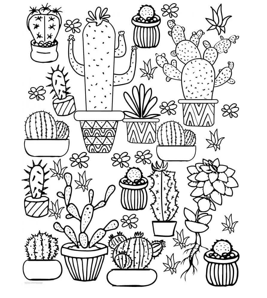 Kolorowanki Doniczkowy ogród kaktusów
