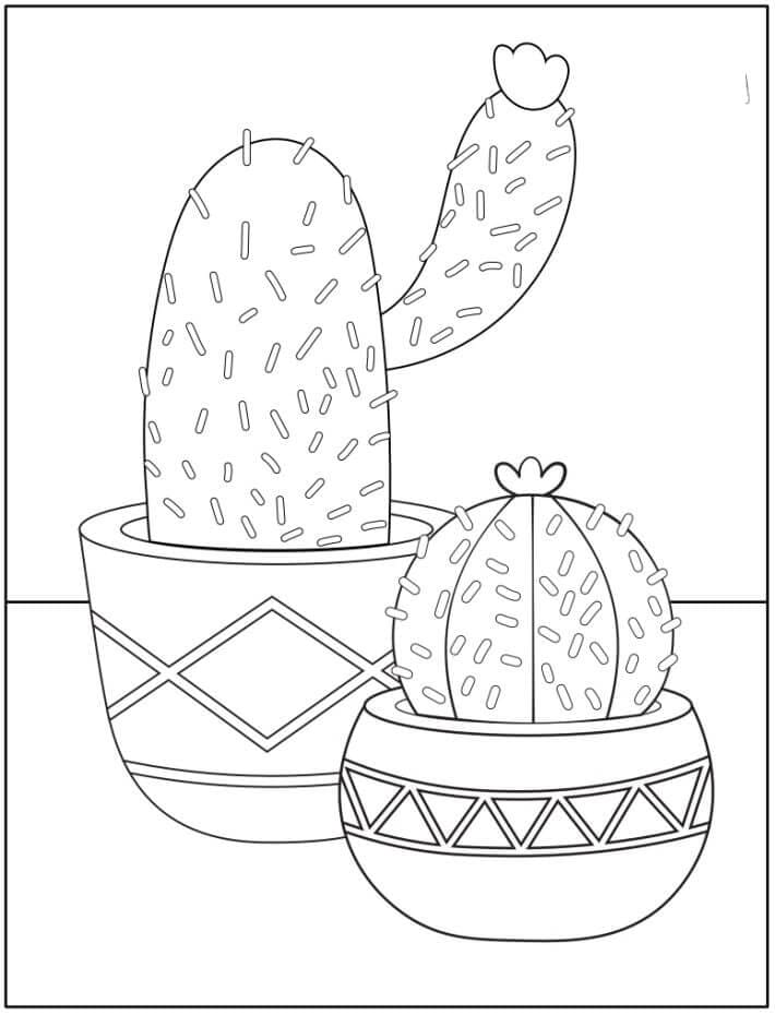 Kolorowanki Dwa kaktusy doniczkowe