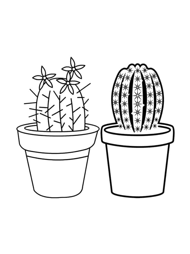 Kolorowanka Dwie doniczki z kaktusami