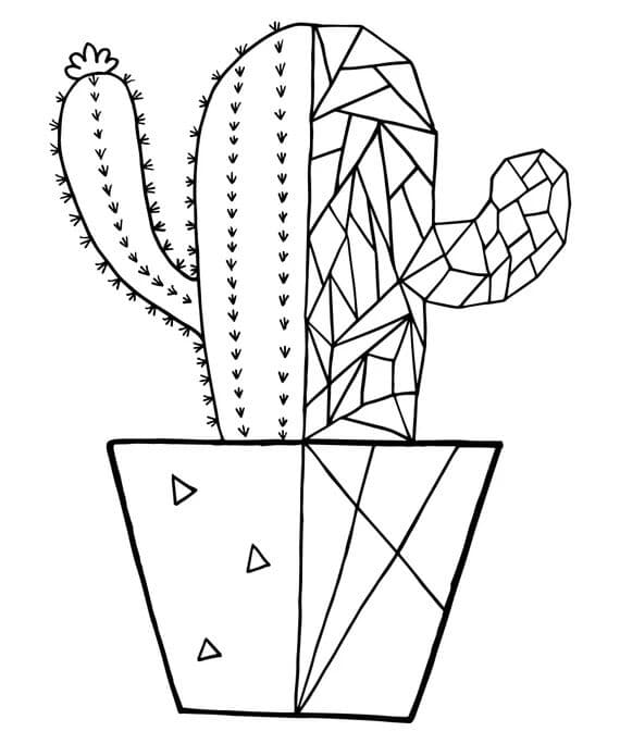 Kolorowanka Ładny obrazek z kaktusem