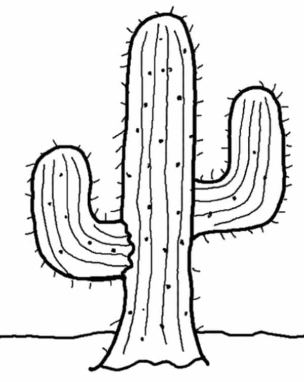 Kolorowanka Normalny kaktus