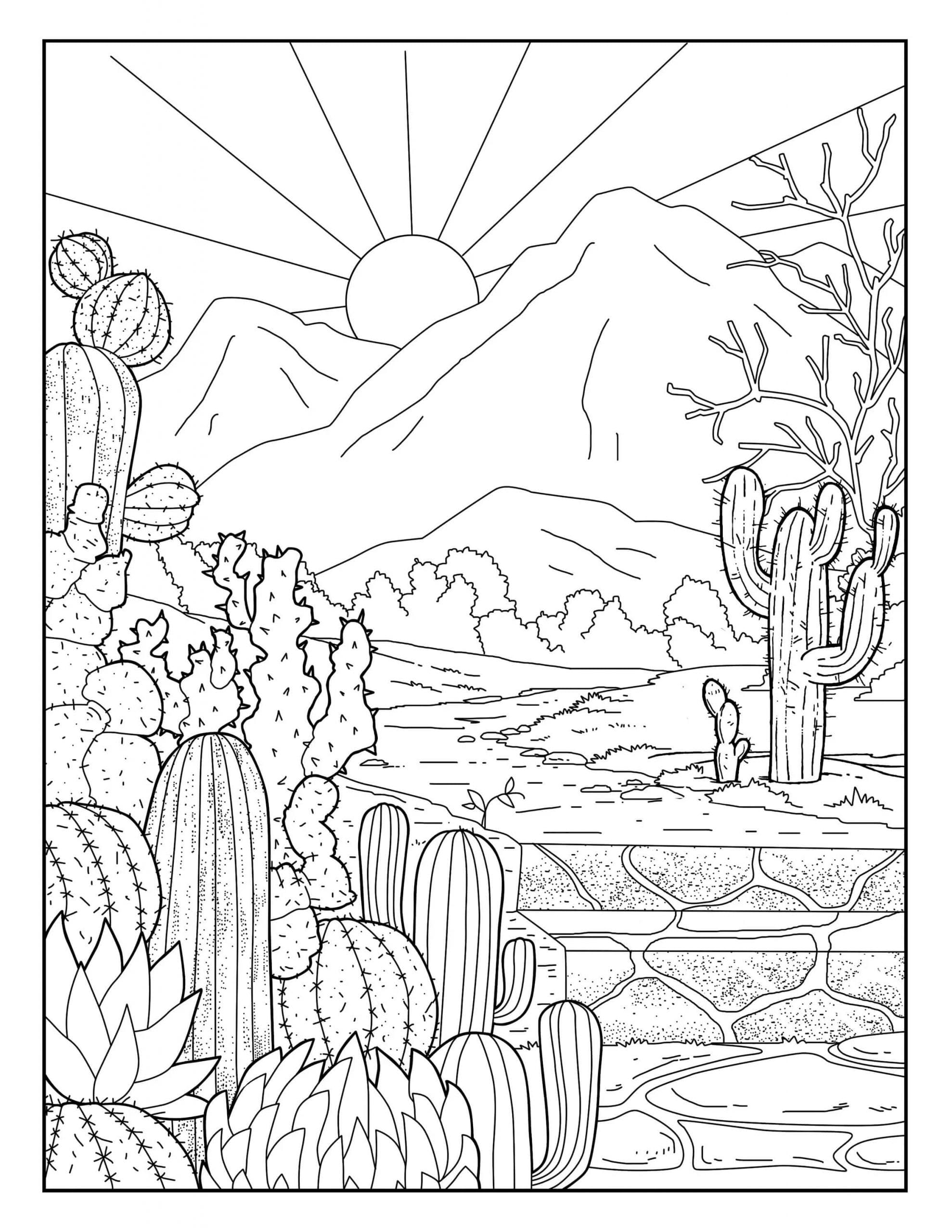 Kolorowanka Ogród kaktusów i słońce