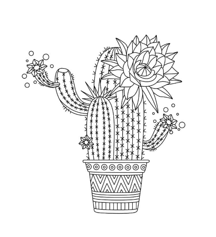 Kolorowanka Piękny kaktus