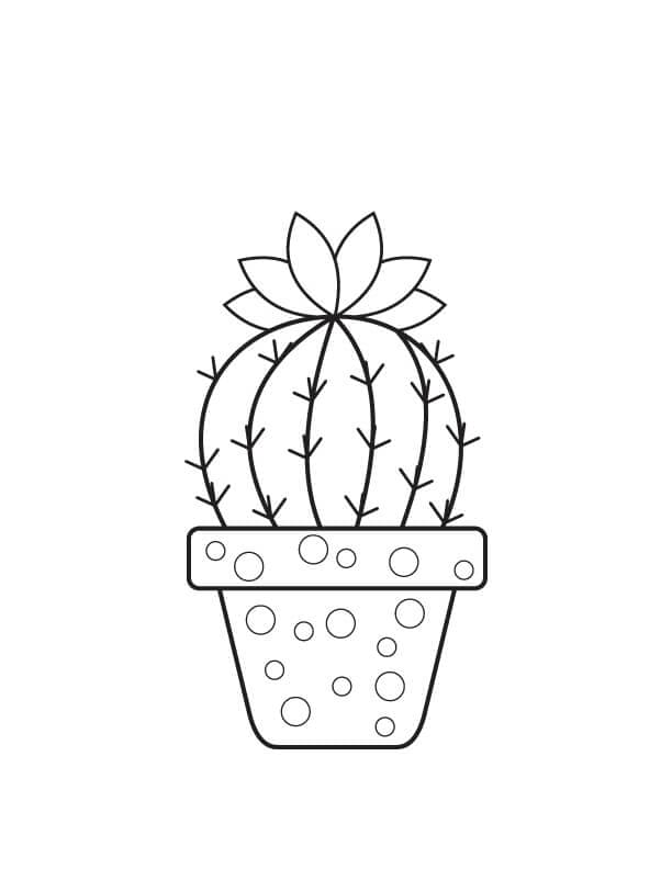 Kolorowanki Podstawowy kaktus doniczkowy