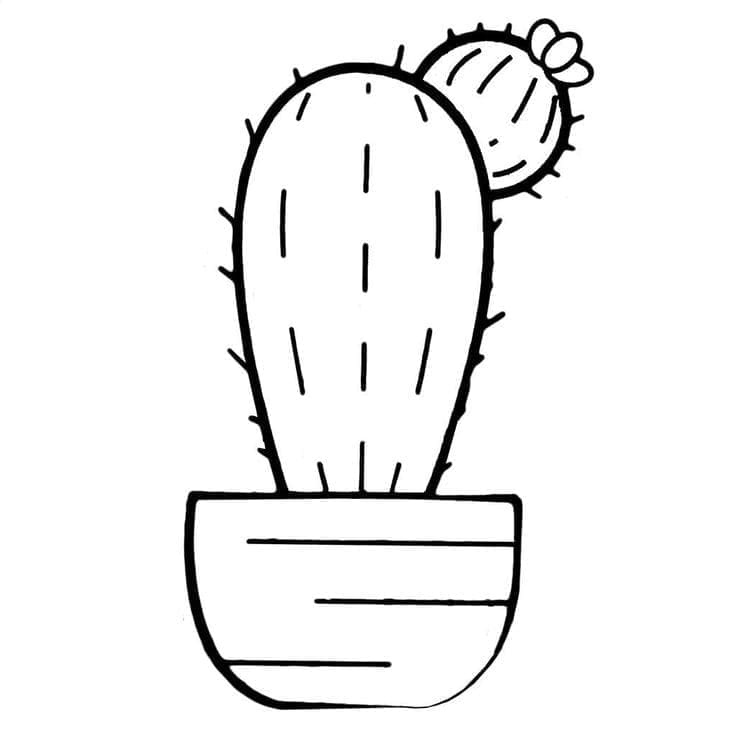 Kolorowanka Pospolity kaktus