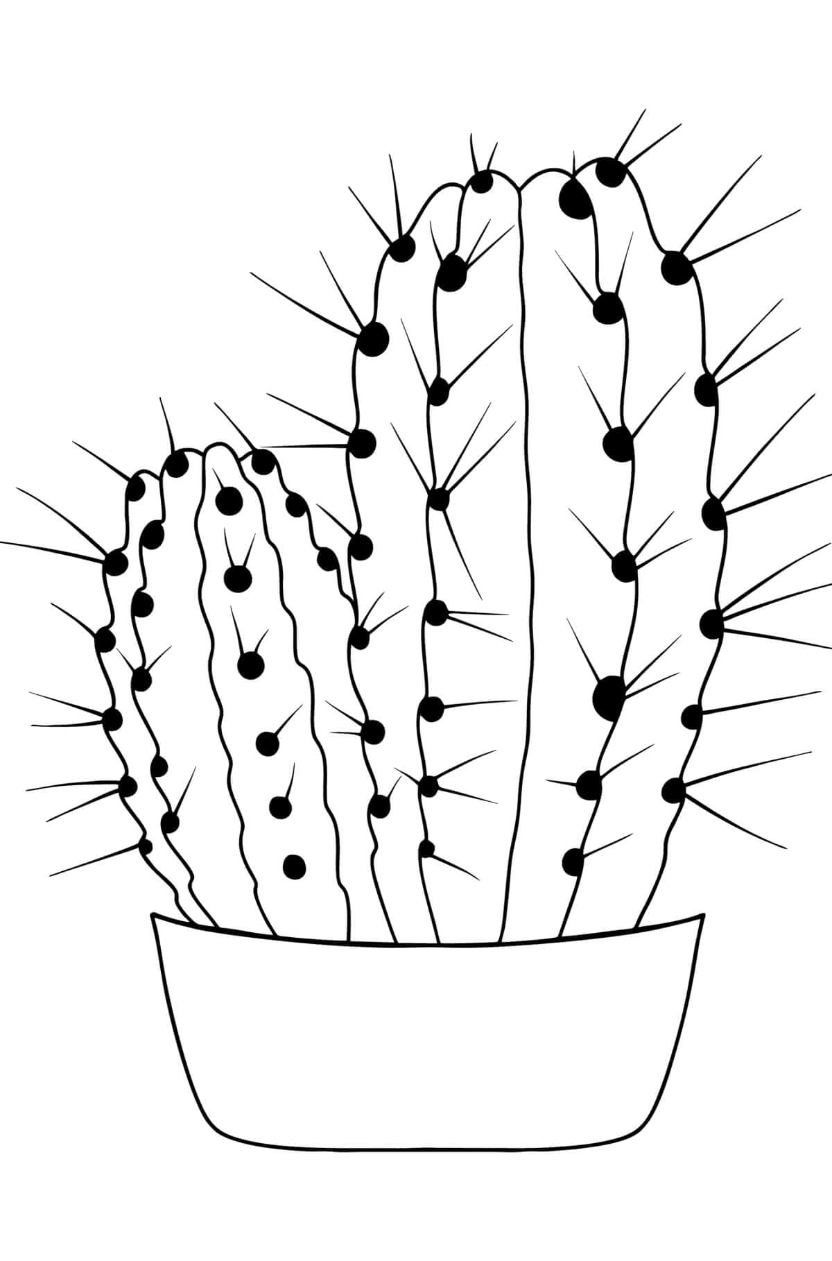 Kolorowanki Prosty kaktus doniczkowy
