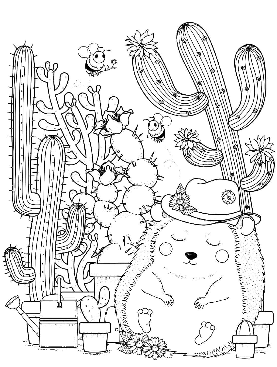 Kolorowanka Śpiący Jeż i Kaktus