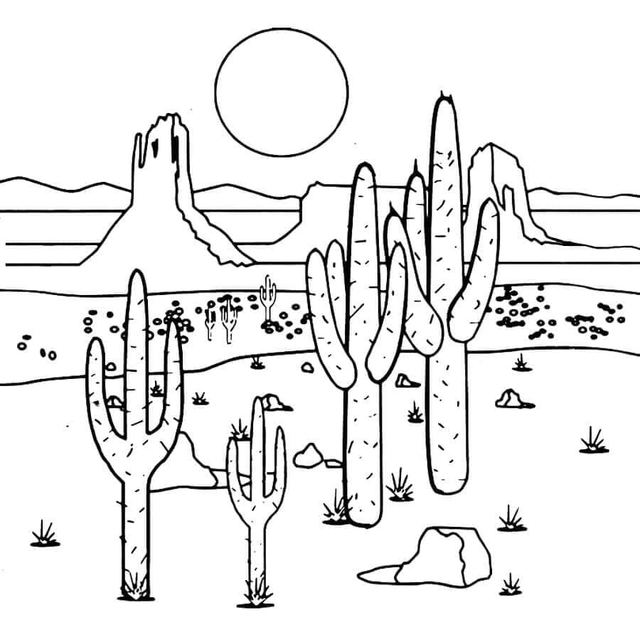 Kolorowanka Suchy teren z kaktusami