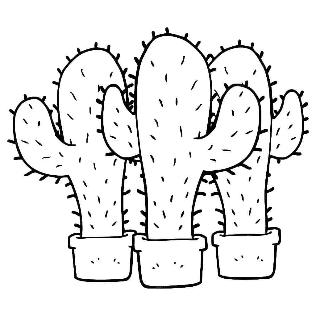Kolorowanka Trzy kaktusa