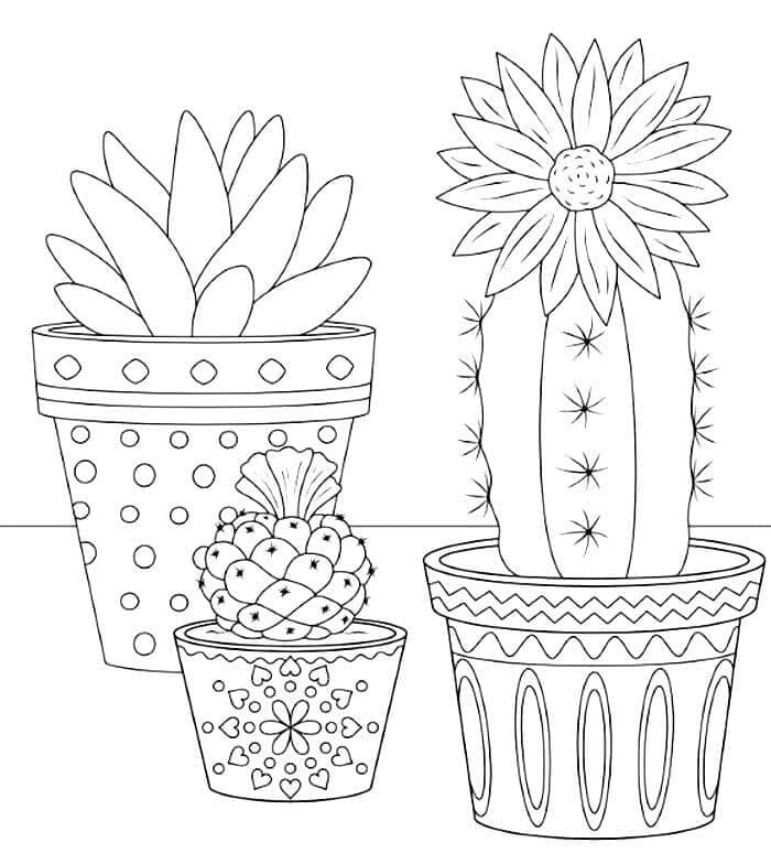 Kolorowanki Trzy kaktusy doniczkowe