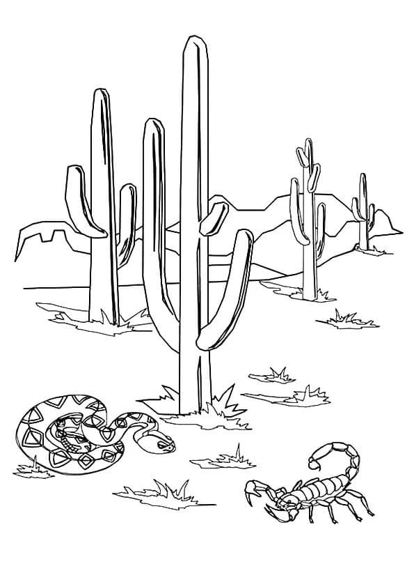 Kolorowanki Wąż i skorpion z kaktusem