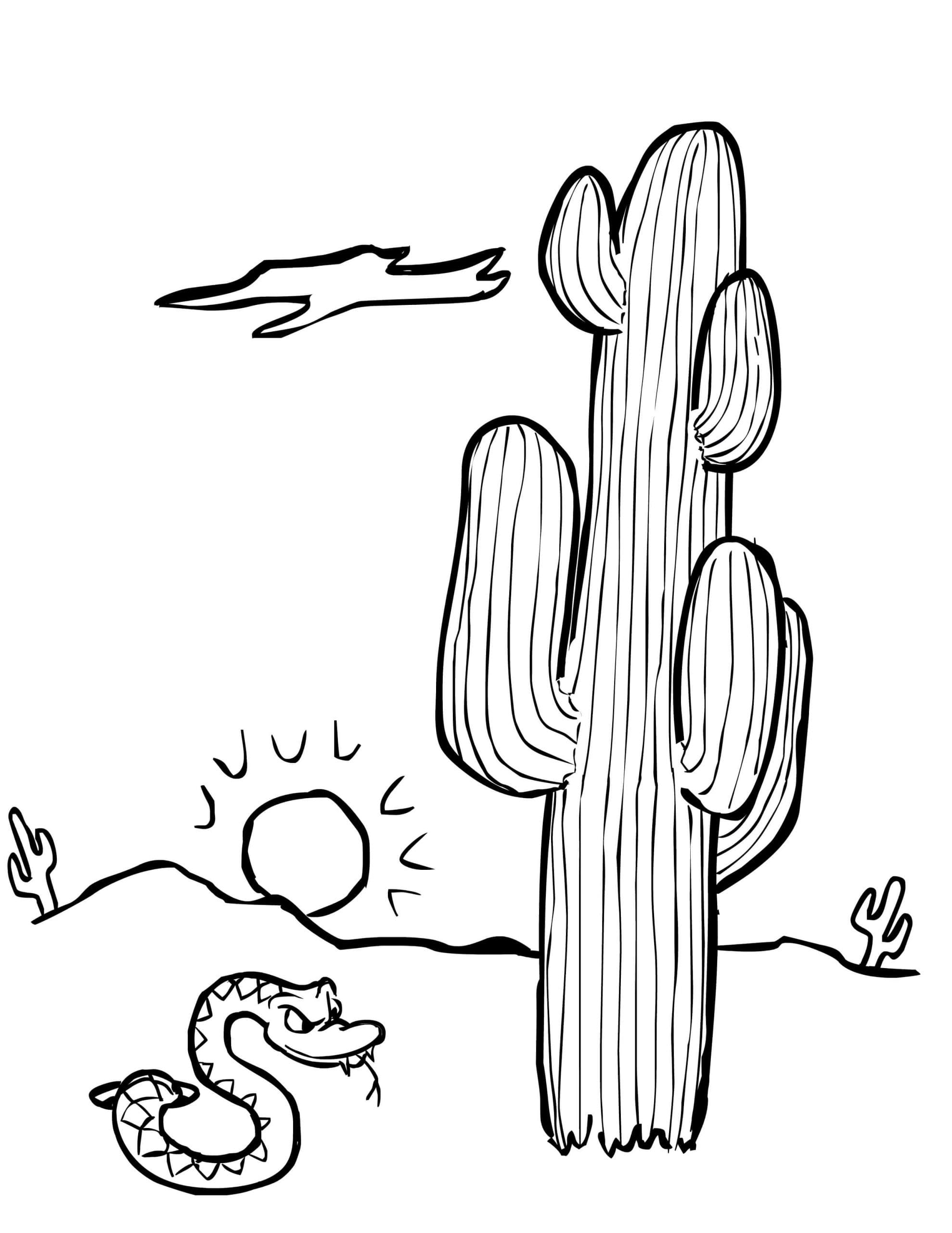 Kolorowanki Wąż z kaktusem
