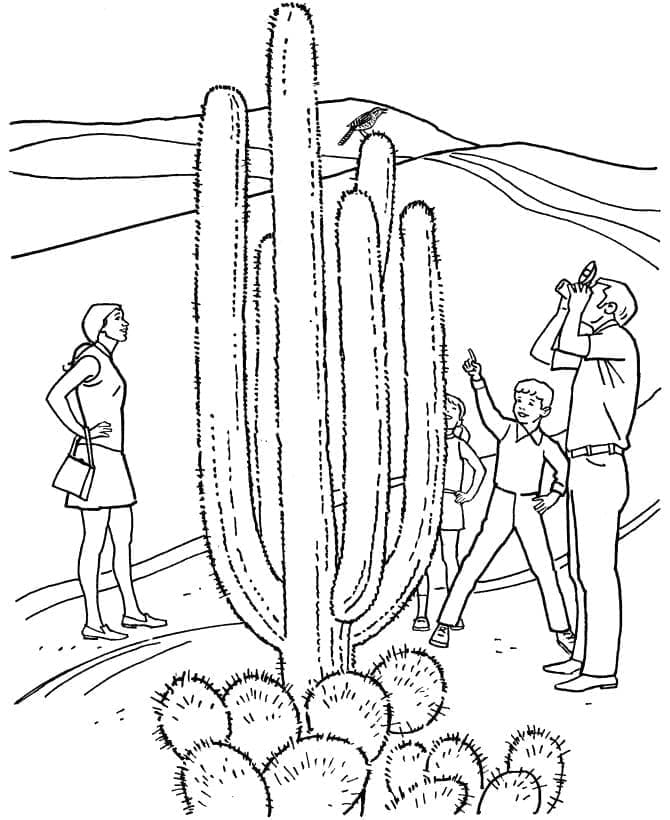 Kolorowanka Wysoki kaktus