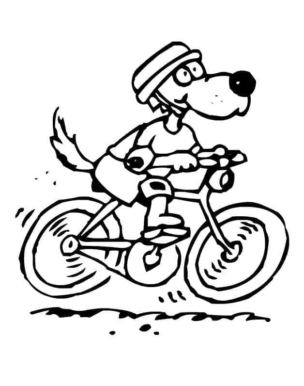 Kolorowanka Zdjęcie psa jadącego na rowerze