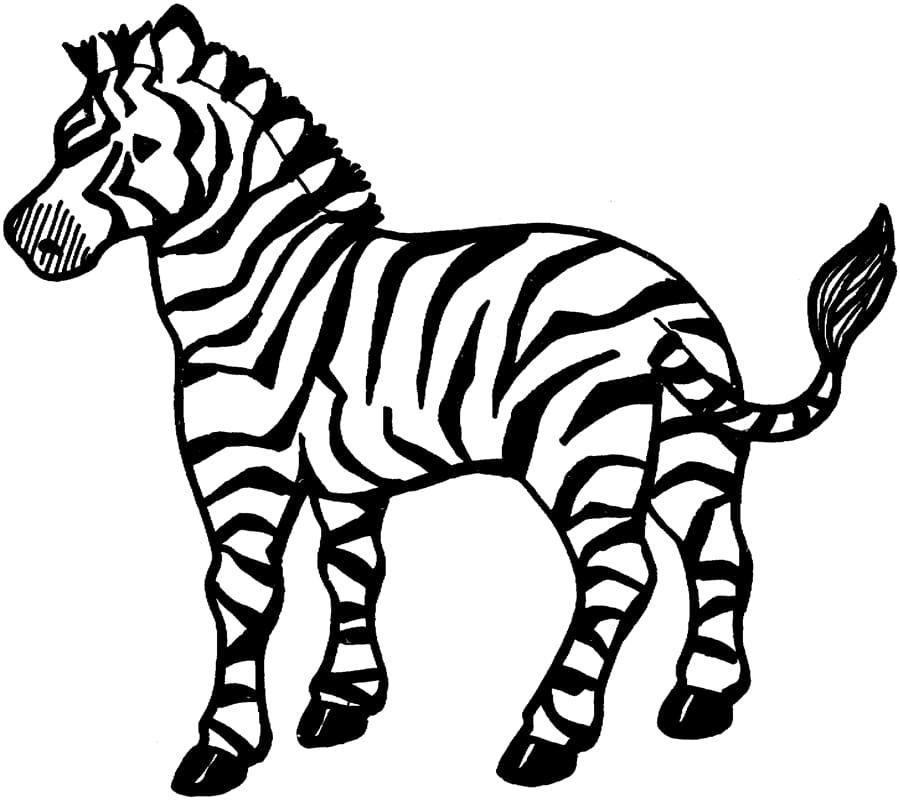 Kolorowanki Idealna zebra