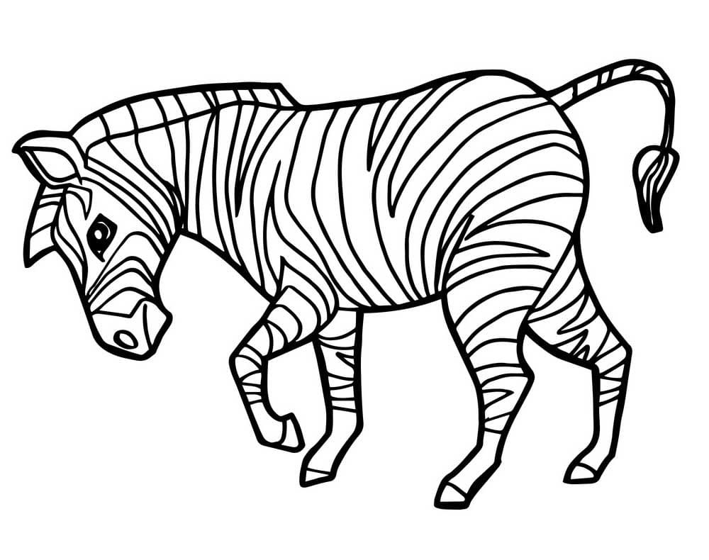 Kolorowanka Normalna zebra