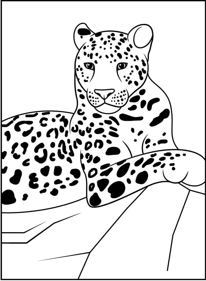 Kolorowanki Leopard Printable For Kids