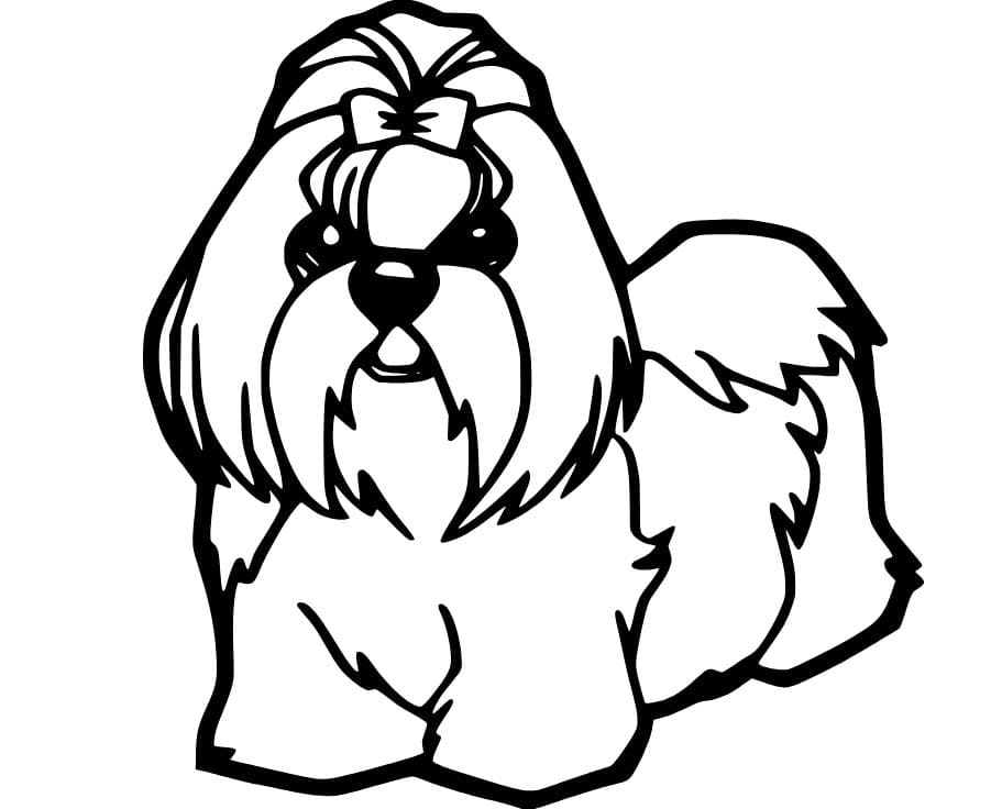 Kolorowanka Kreskówka Shih Tzu