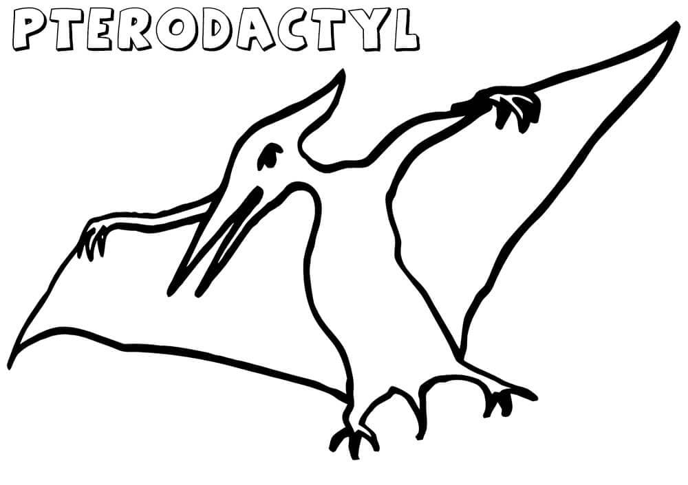 Kolorowanka Narysuj Pterodaktyl 11