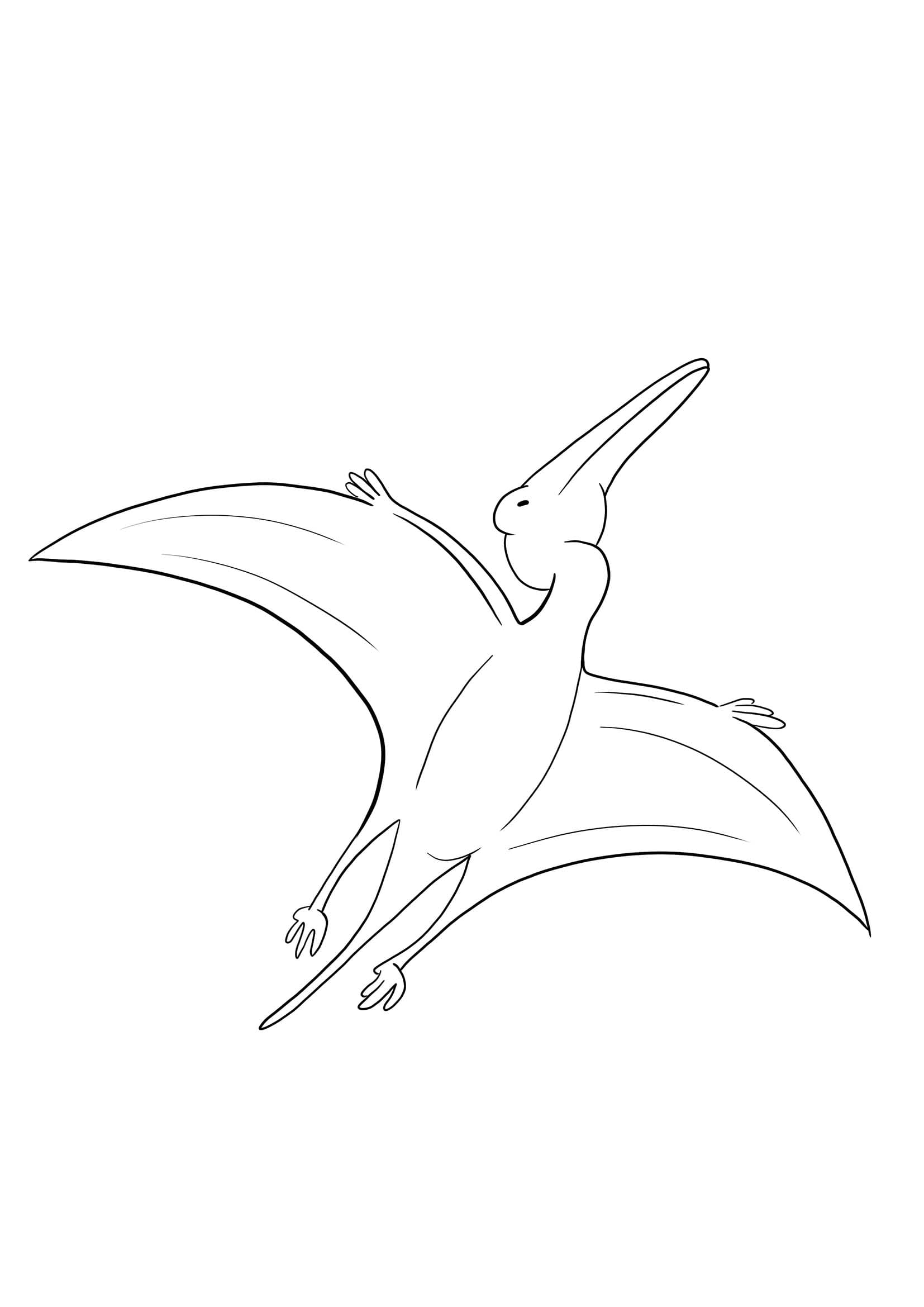 Kolorowanka Narysuj Pterodaktyl 8