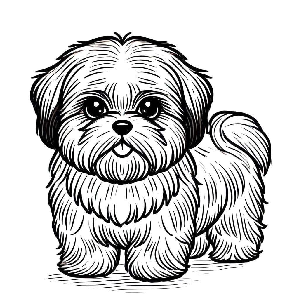 Kolorowanka Narysuj Shih Tzu łatwo