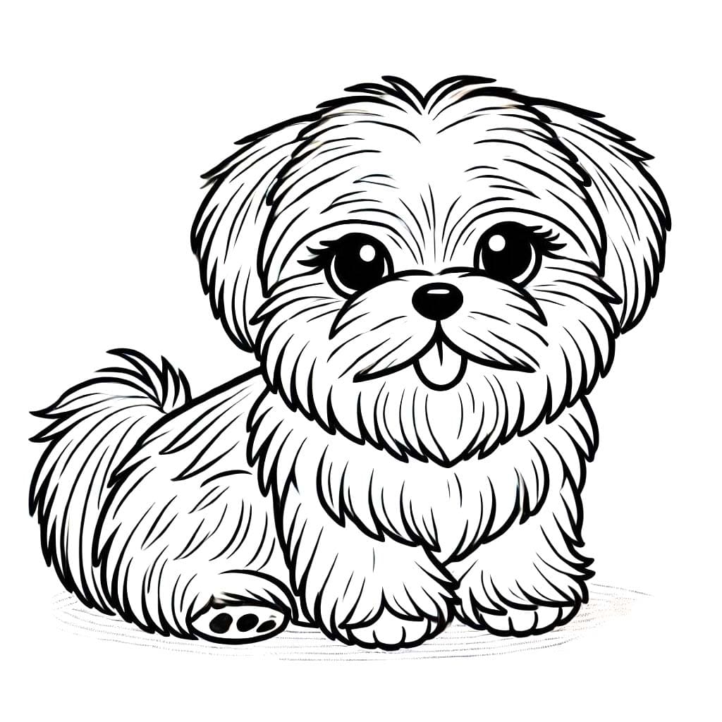 Kolorowanka Narysuj Shih Tzu prostu