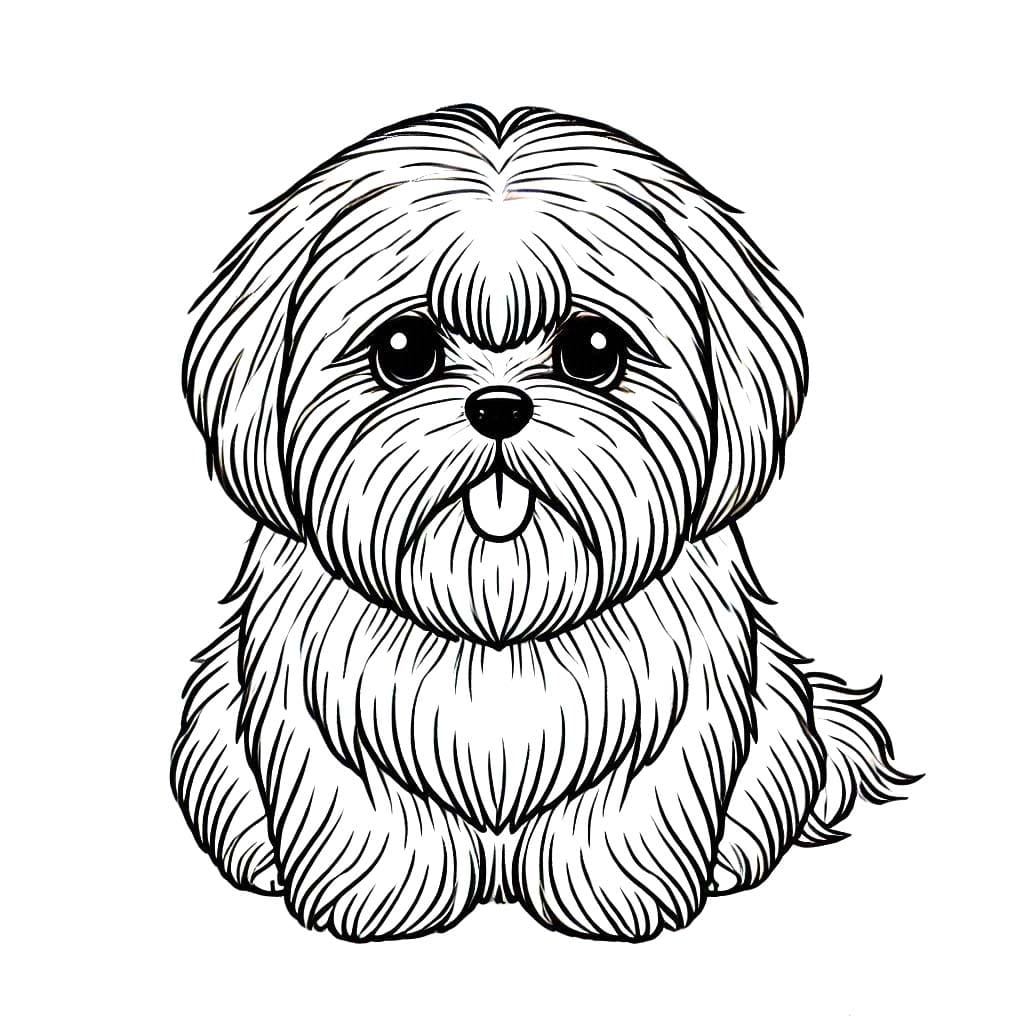 Kolorowanka Narysuj Shih Tzu za darmo