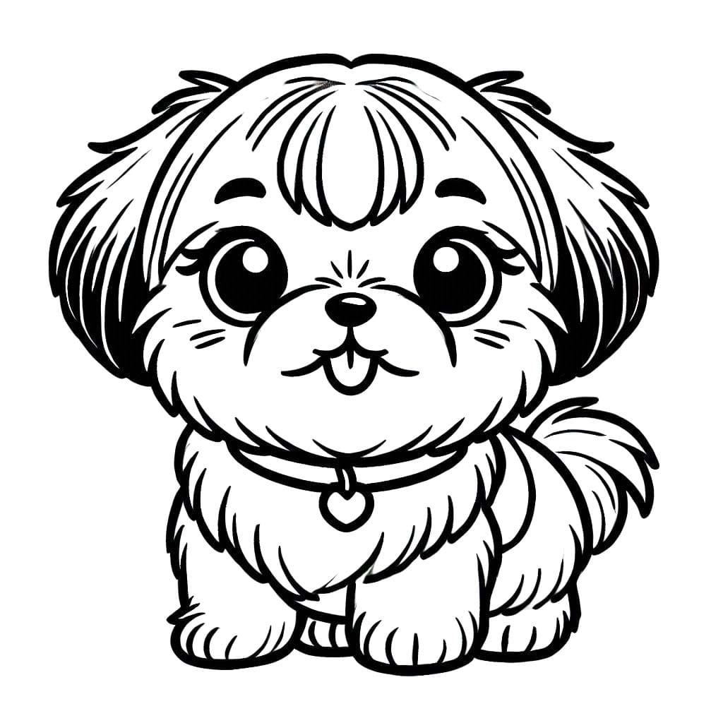 Kolorowanka Narysuj pięknego Shih Tzu