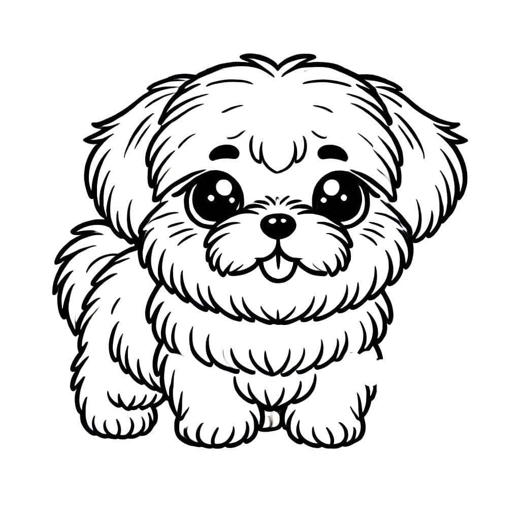 Kolorowanka Narysuj słodkiego Shih Tzu