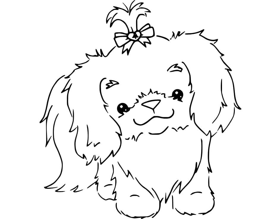 Kolorowanki Shih tzu