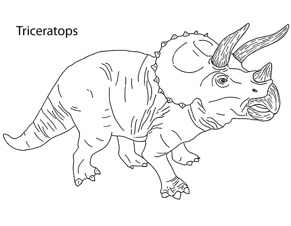 Kolorowanka Triceratops dla dzieci