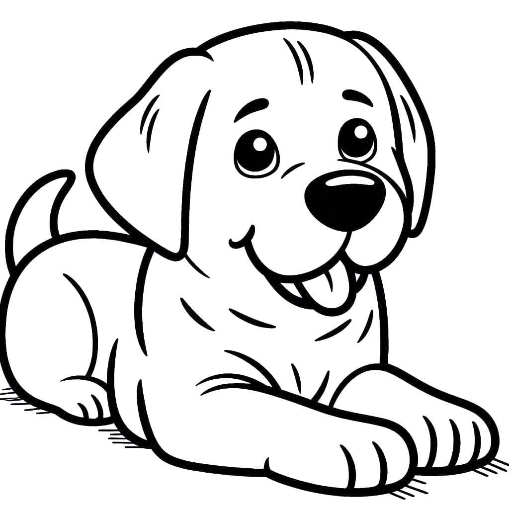 Kolorowanki Labrador Do Druku Kolorowankidodruku Com Kolorowanki Labrador Do Druku Kolorowankidodruku Com