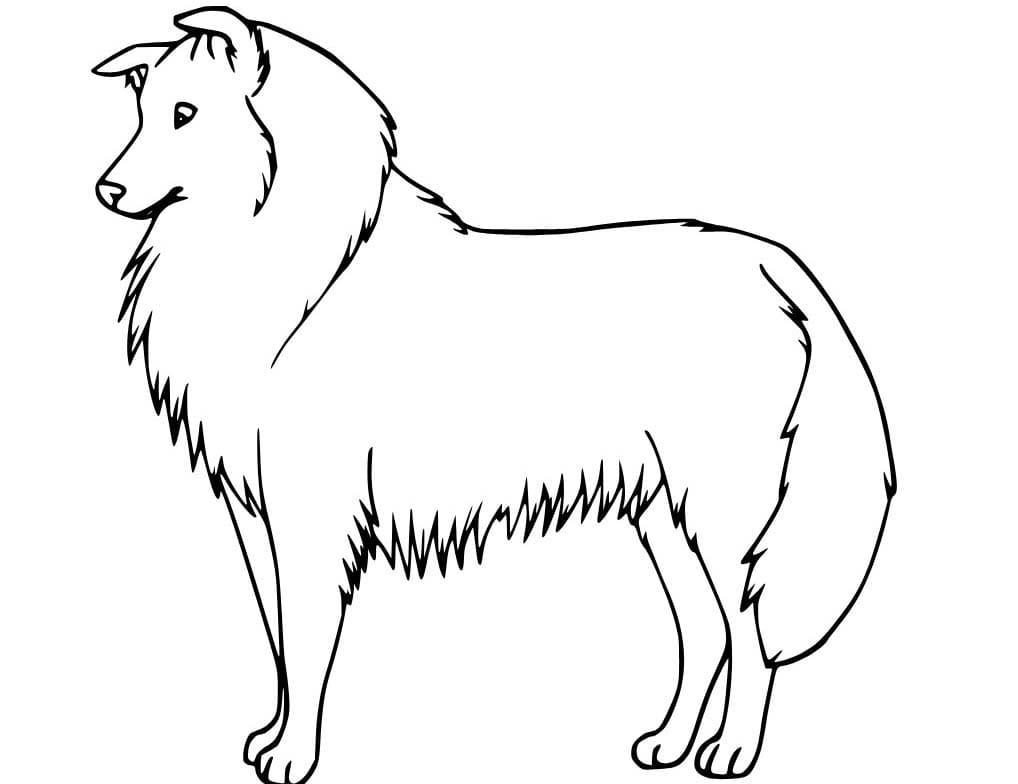 Kolorowanki Szko a Do Druku Kolorowankidodruku Com