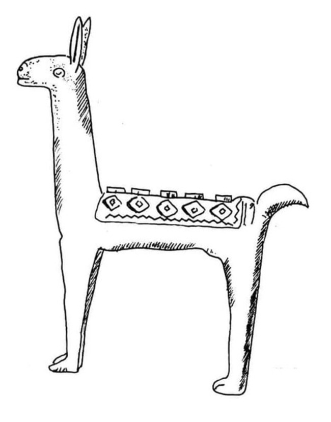 Kolorowanka Alpaka bezpłatna podstawowy
