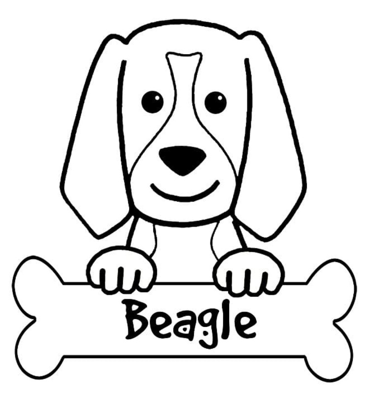 Kolorowanki Beagle