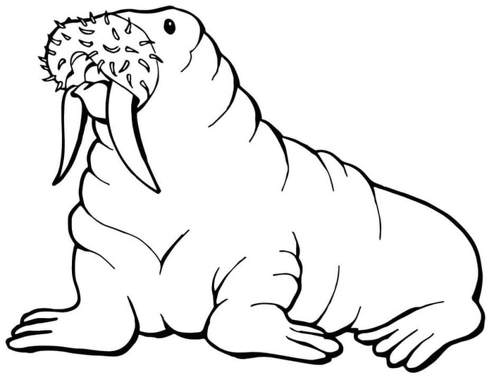 Kolorowanka Mors dla dzieci