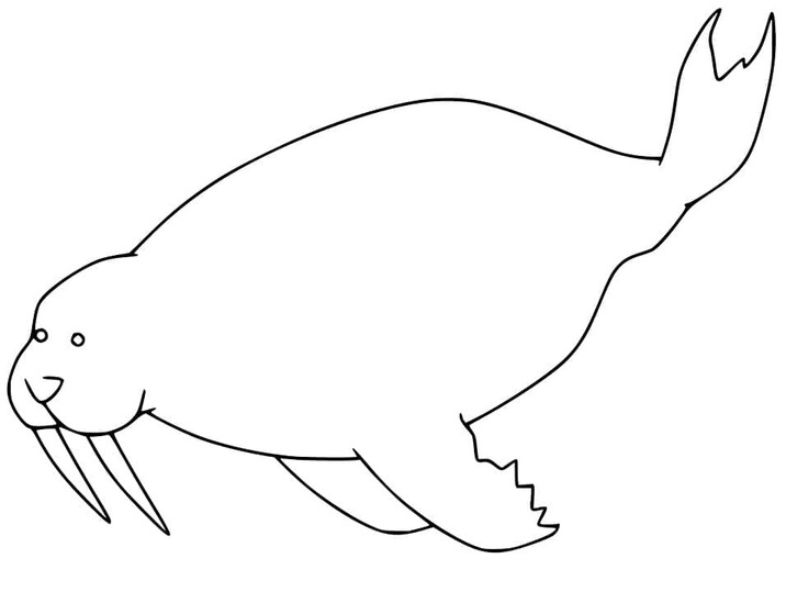 Kolorowanka Mors do druku dla dzieci