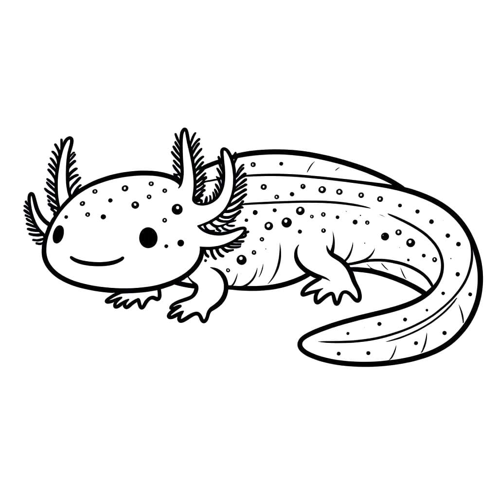 Kolorowanka Narysuj Aksolotl 7
