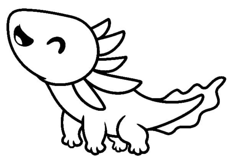 Kolorowanka Narysuj Aksolotl bezpłatna prosty