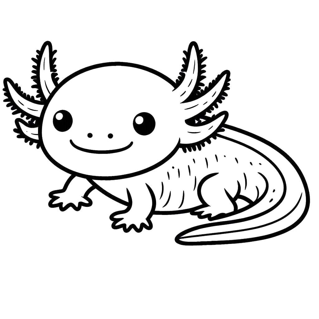 Kolorowanka Narysuj Aksolotl wydruku