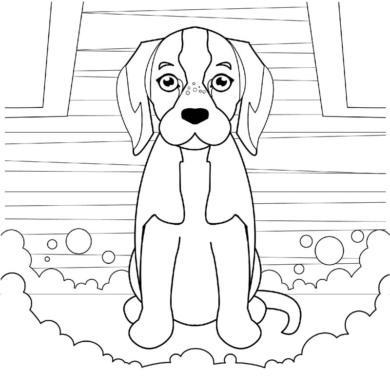 Kolorowanka Narysuj Beagle podstawowy