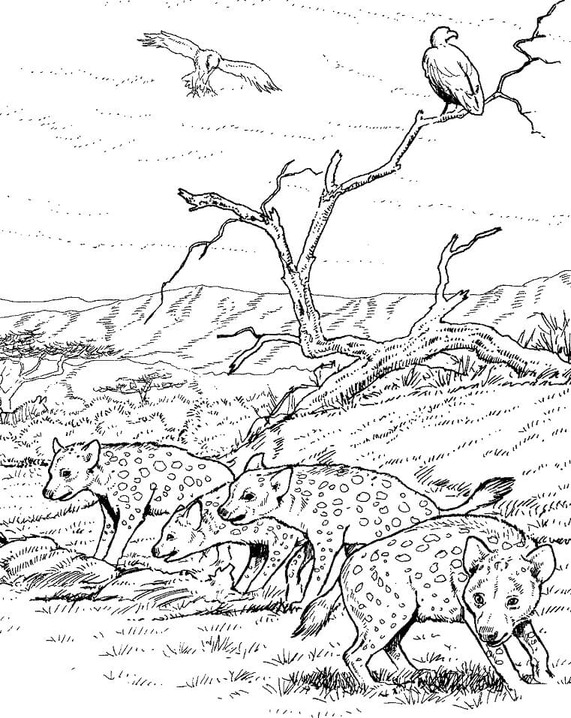 Kolorowanka Narysuj Hiena 7