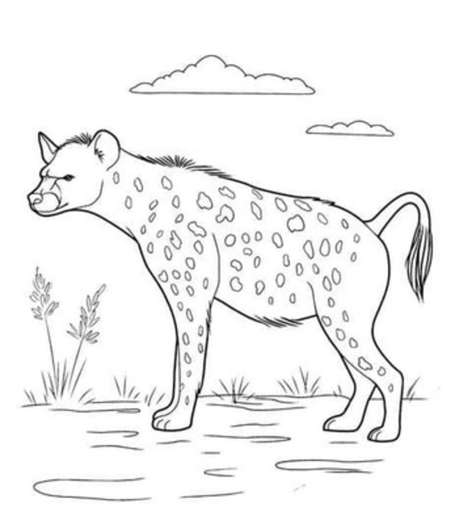 Kolorowanka Narysuj Hiena bezpłatny