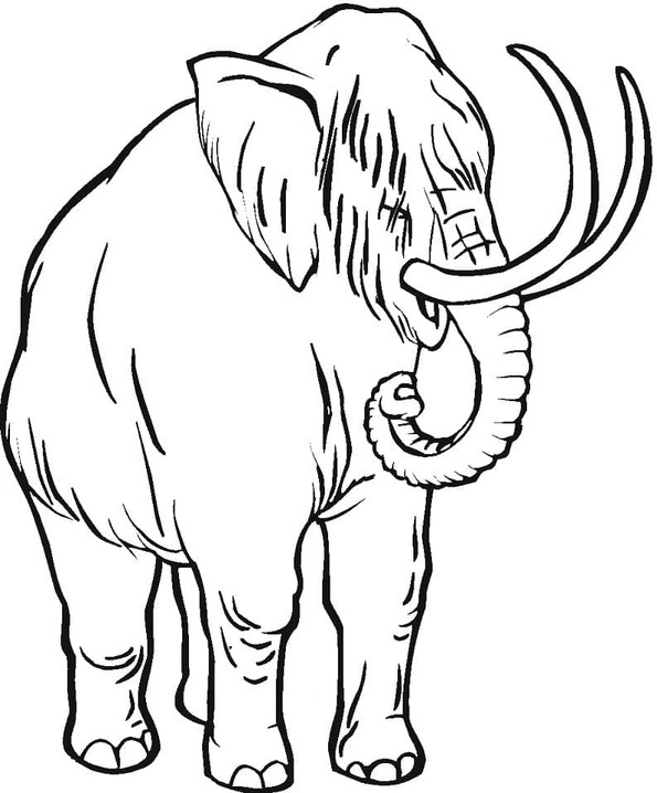 Kolorowanka Narysuj Mamut 4
