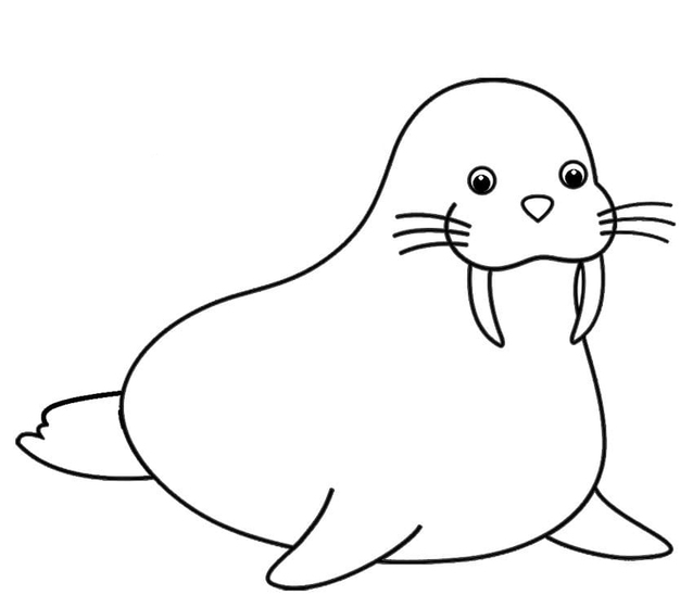 Kolorowanka Narysuj Mors do druku dla dzieci